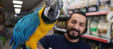 Dünyanın en havalı papağanı güzelliği ve fiyatıyla dikkat çekiyor