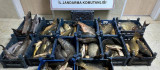 Elazığ'da 1 ton kaçak balık ele geçirildi