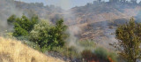 Elazığ'da 2 gün süren orman yangını söndürüldü
