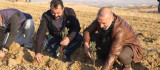 Elazığ'da 24 bin adet lavanta toprakla buluştu