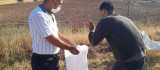 Elazığ'da ağ ve cihazla kaçak avlanan 5 şahıs yakalandı