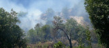 Elazığ'da çıkan orman yangını kısa sürede söndürüldü