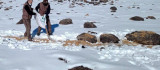 Elazığ'da kaçak avla mücadele ve yaban hayvanlarına yem desteği