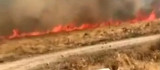 Elazığ'da korkutan yangın: 10 dönüm alan zarar gördü