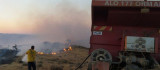 Elazığ'da örtü yangını: 170 dönümlük alan zarar gördü