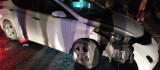 Elazığ'da otomobil direğe çarptı: 4 yaralı