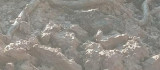 Elazığ'da su kuyusu kazısında, 3 metrelik yılan çıktı