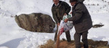 Elazığ'da Yaban Hayvanları İçin Doğaya 1,5 Ton Yem Bırakıldı