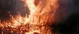 Elazığ'da yangın: 4 bahçe zarar gördü