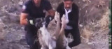 Elazığ'da yaralı halde bulunan köpek itfaiye ekipleri tarafından kurtarıldı