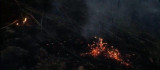 Elazığ'da yıldırım yangına neden oldu