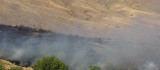 Elazığ'daki orman yangını söndürüldü