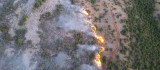 Orman yangınını söndürme çalışmaları çok sayıda ekiple sürüyor