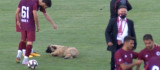 Sevimli köpek önce futbolcularla antrenman yaptı sonra sahadan çıkmadı